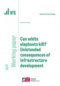 Can white elephants kill? Unintended consequences of infrastructure development