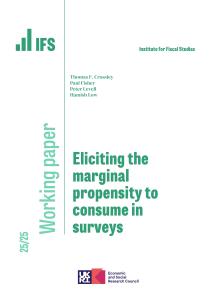 Working paper cover
