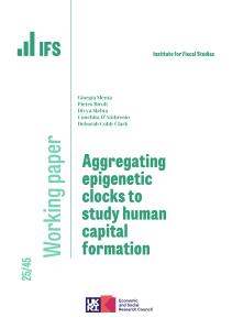 Working paper cover