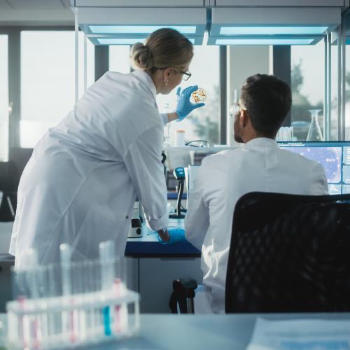 Image of two colleagues in a research lab looking at a Petri Dish.