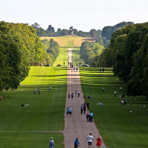 Windsor Great Park