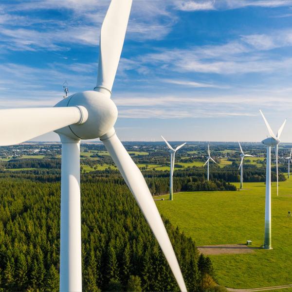 Wind farm