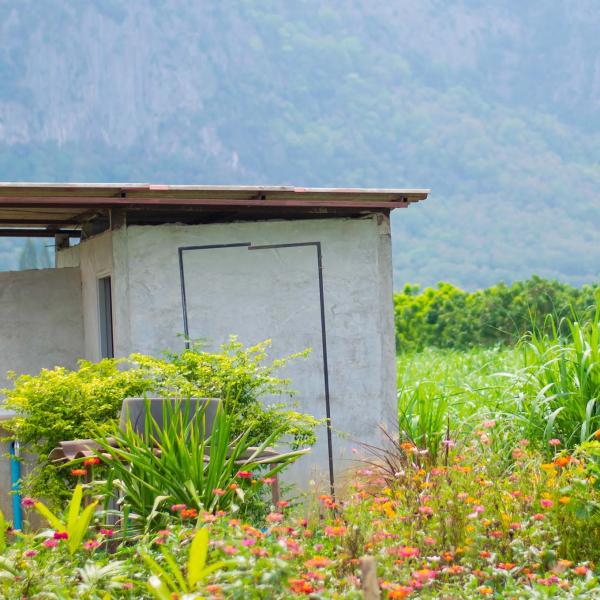 Outdoor toilet