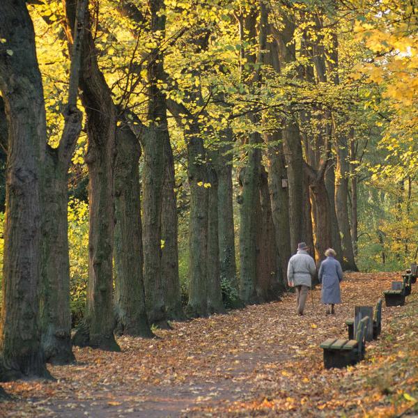 Older couple walk through the woods