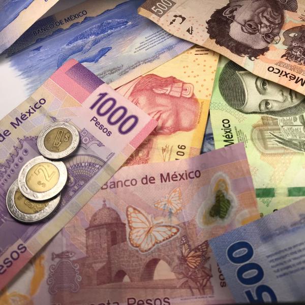 Assorted Pesos
