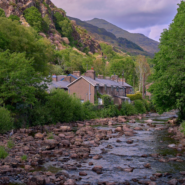 Labour market, living standards and poverty trends in Wales