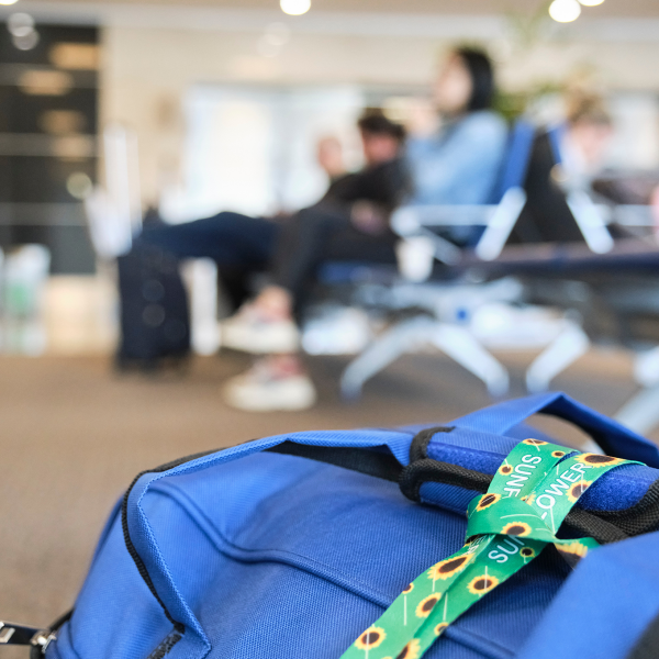 New disability benefit awards continue to fall but remain well above pre-pandemic levels