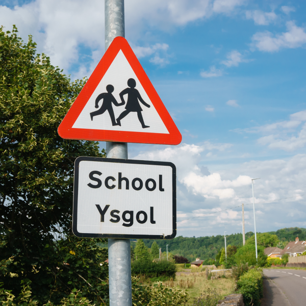 Welsh school Feature