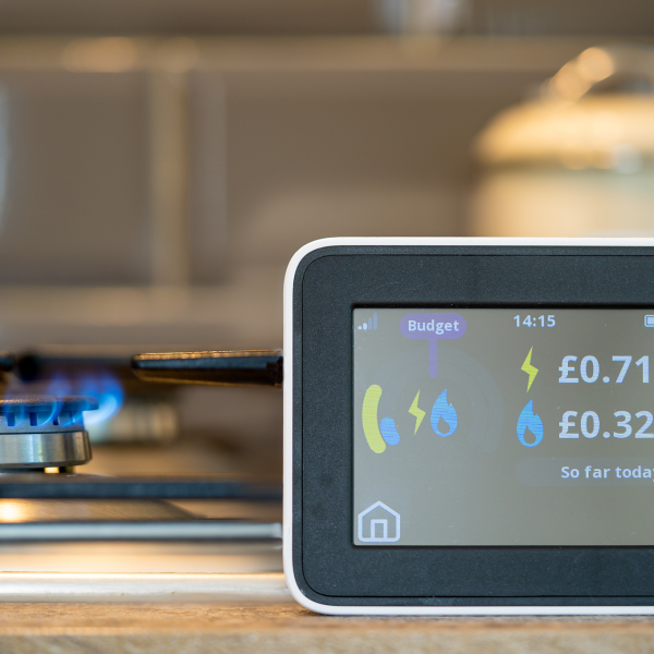 How will a temporary cut to VAT on household electricity bills affect households, the tax system and the public finances?