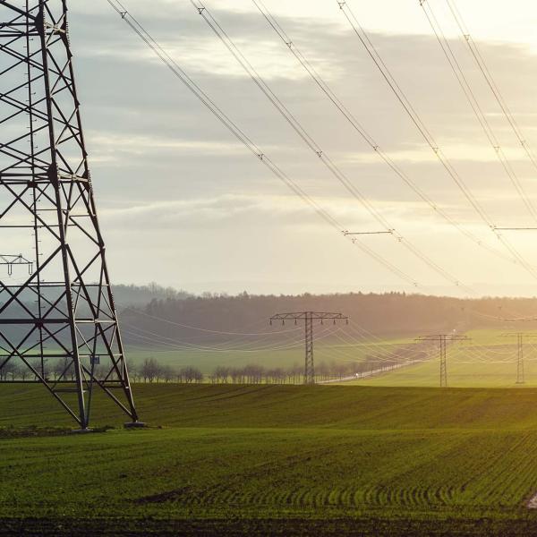 Electricity pylons across a field