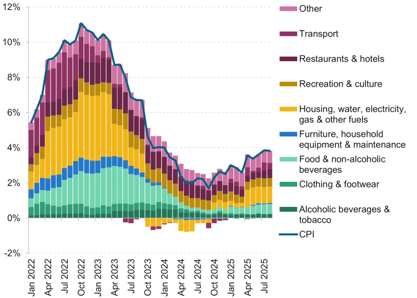 Figure 1.10. Decomposition of monthly CPI inflation (% year on year)