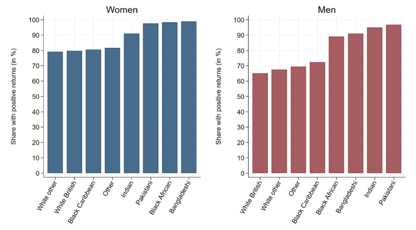 Figure J.6. Share with positive lifetime discounted individual return to HE by ethnic group