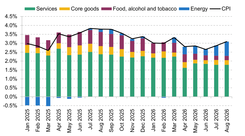 Figure 1.4. Decomposition of annual CPI inflation (% year on year)